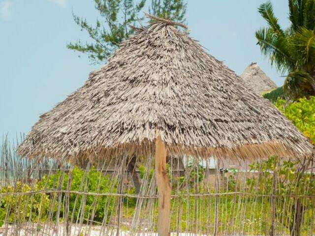 фото Bwejuu Beach Palm Villa изображение №2