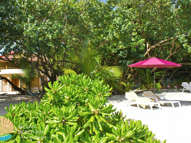 фото Ocean Beach Lodge - Maldives изображение №6