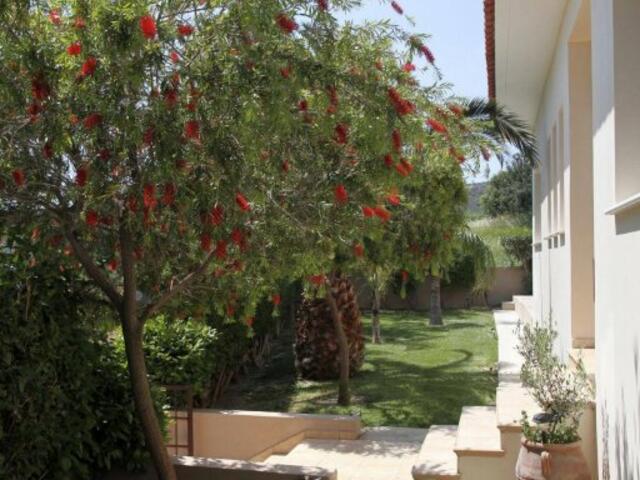 фотографии отеля Eve Pissouri Xinisteri Villa изображение №3