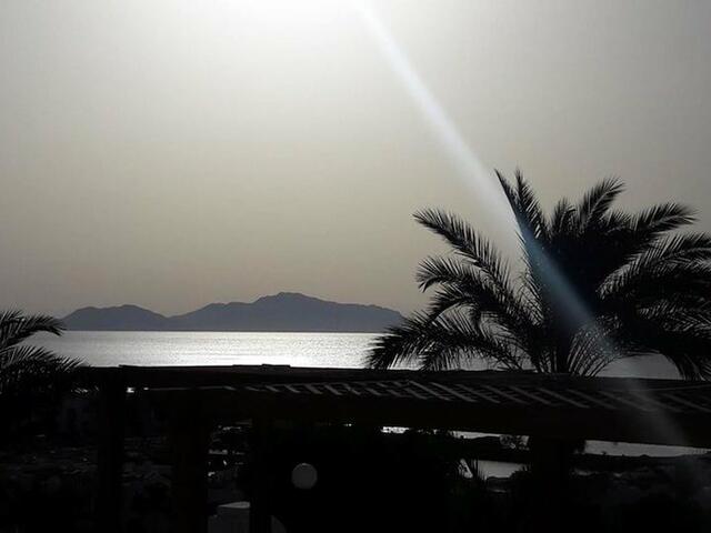 фото отеля Studio In Sharm El Sheikh Resort изображение №5
