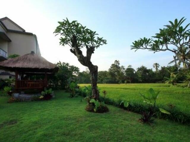 фото отеля Byasa Ubud изображение №9