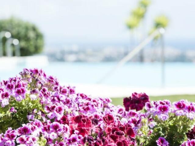фотографии Quartiers Marbella - Apartment Hotel & Resort изображение №8