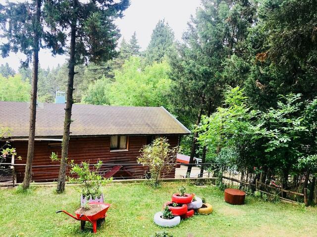 фото Agva Orman Evleri (Forest Lodge) изображение №6