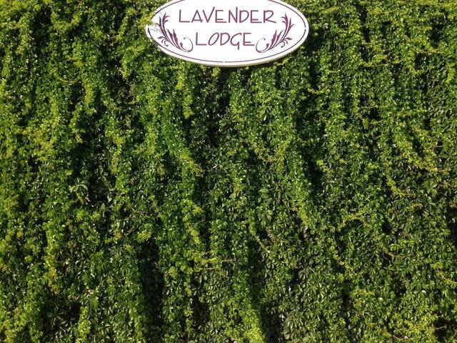 фотографии Lavender's Lodge Hotel изображение №8