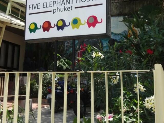 фотографии отеля Five Elephant Hostel изображение №7
