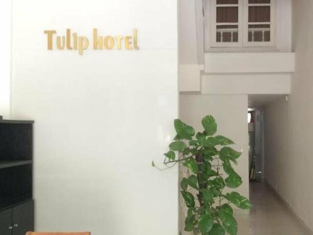 фото отеля Tulip Hotel Vu Ngoc Phan изображение №1