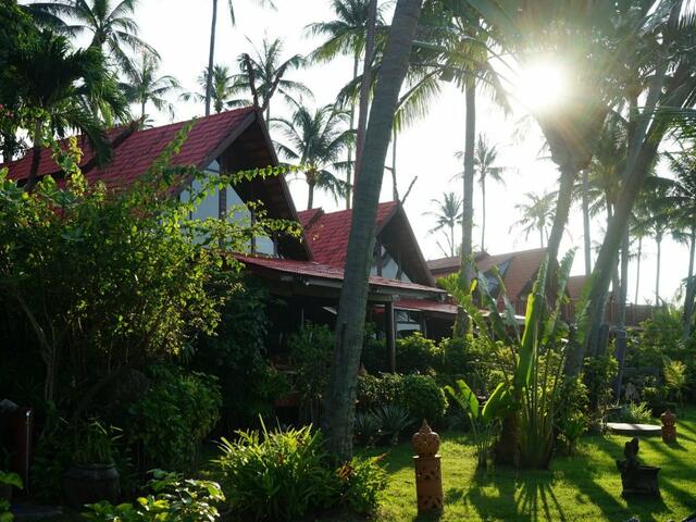 фото Green Coconut Village C3 изображение №6