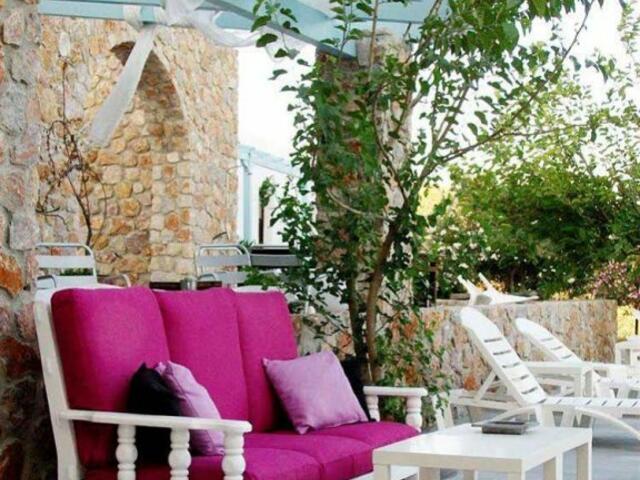 фото Zorbas Hotel Santorini изображение №2