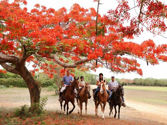 фотографии отеля Hotel Casa de Campo, AI изображение №19