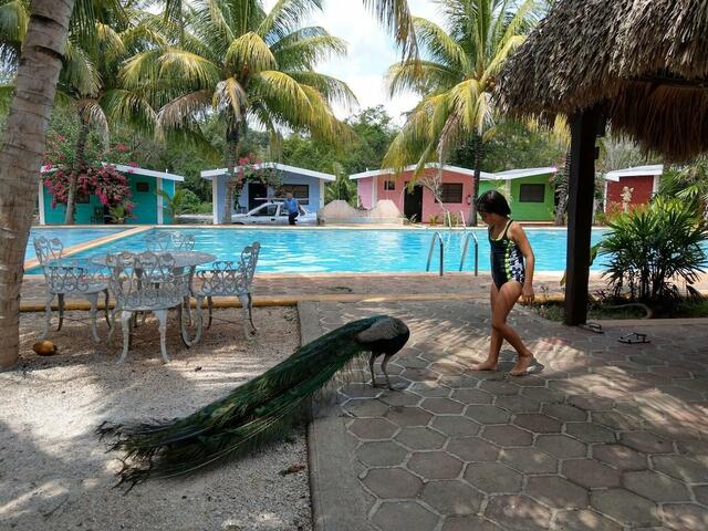 фотографии отеля Cenotes Cabañas Suytun изображение №19