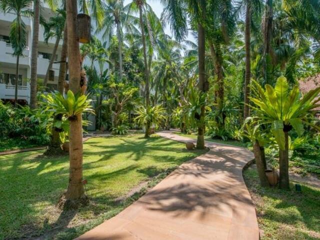 фотографии AVANI Pattaya Resort and Spa (ex. Pattaya Marriott Resort & Spa). изображение №12