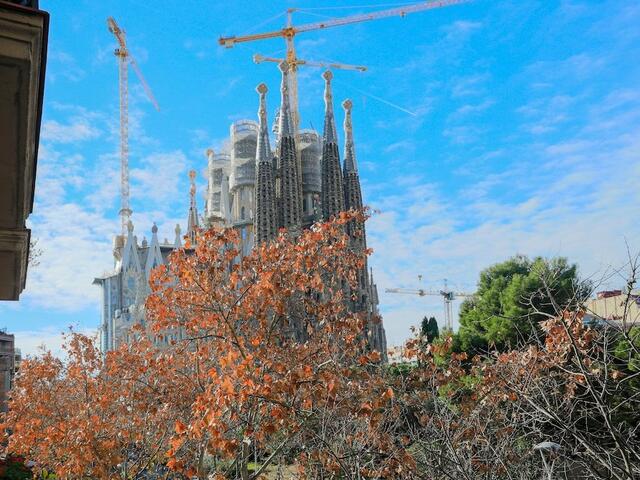 фото Bbarcelona Sagrada Familia Garden изображение №2