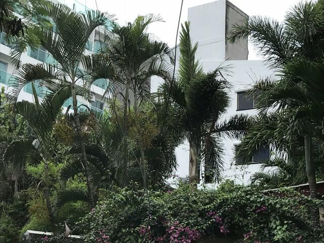 фотографии отеля Yaka Hotel - Pattaya изображение №35
