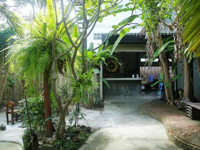 фотографии отеля Freedom Hostels@Phi Phi изображение №15