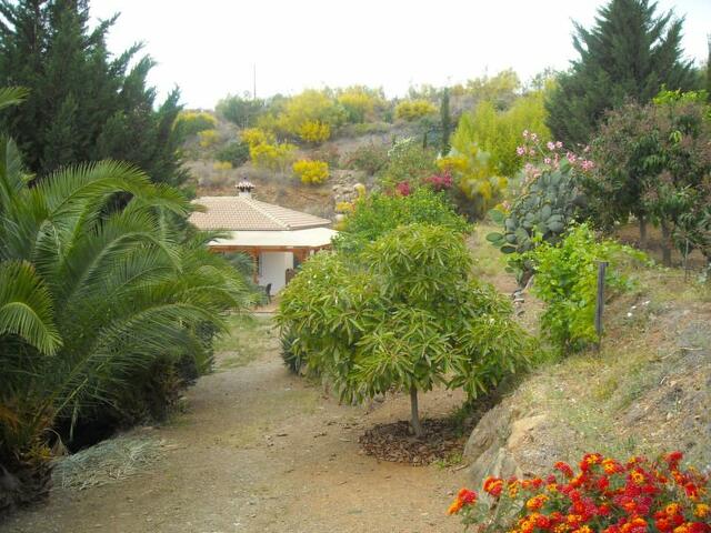 фотографии отеля Finca Trigueros - casa palmito изображение №3