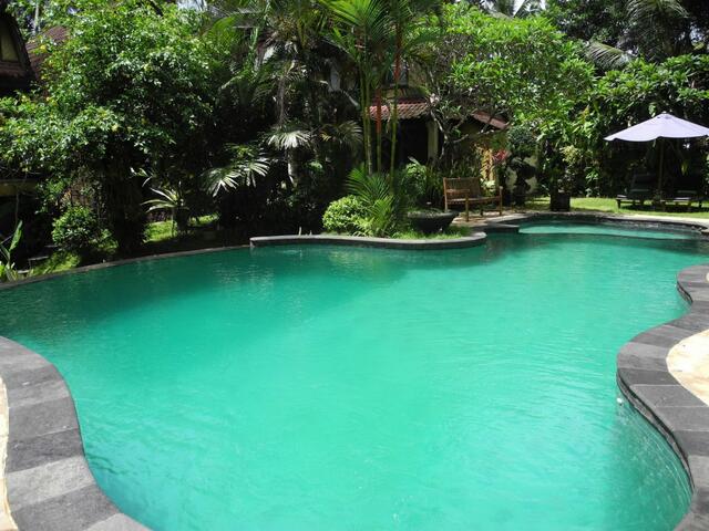 фотографии Villa Jineng Ubud Bali изображение №16