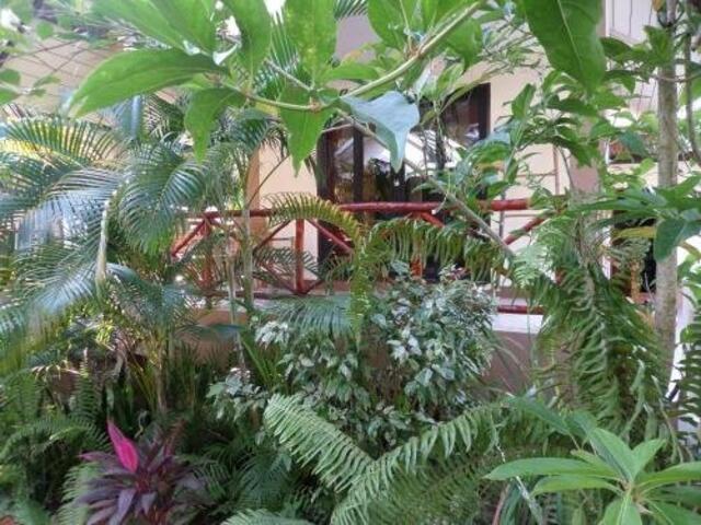 фотографии отеля tropical heaven's garden samui изображение №7