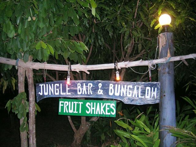 фотографии Jungle Bar & Bungalow изображение №4