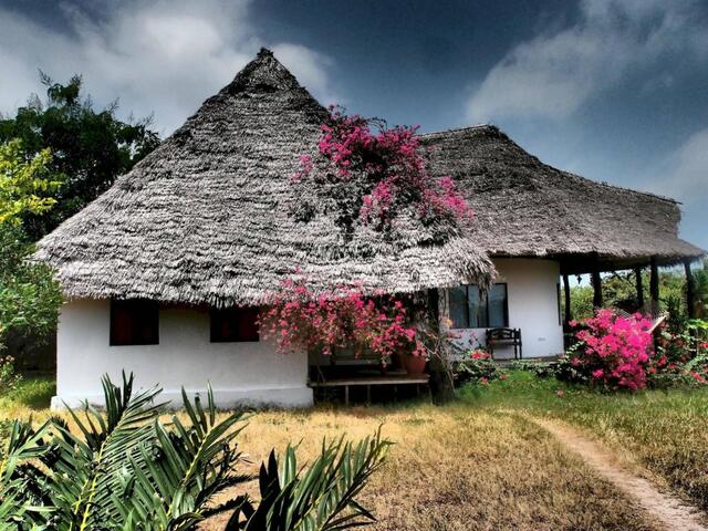 фото Zanzibar Villas изображение №2
