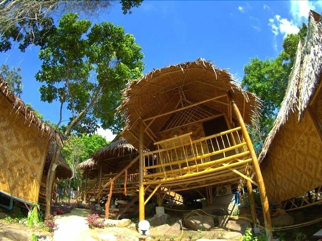 фотографии отеля Phi Phi Hill Bamboo Bungalow изображение №23