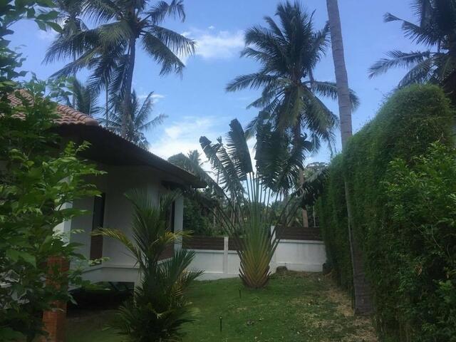 фотографии отеля Blue Coconut Residence изображение №7