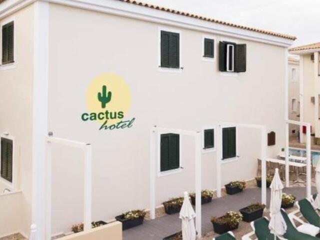 фото Cactus Hotel изображение №2