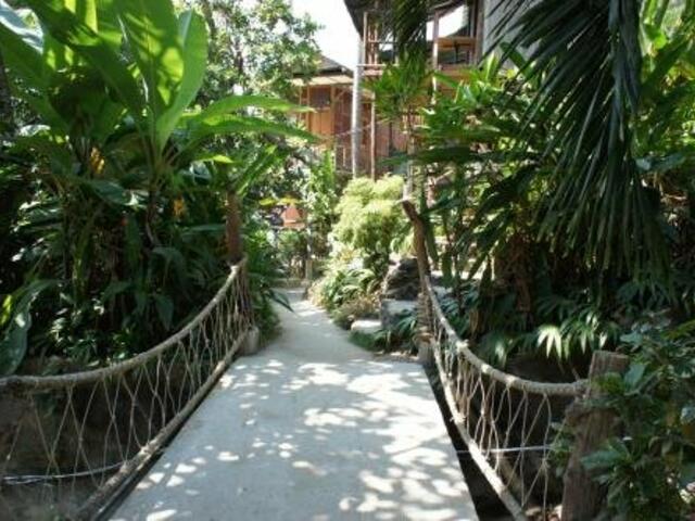 фотографии отеля Tropical Garden Bungalow изображение №3