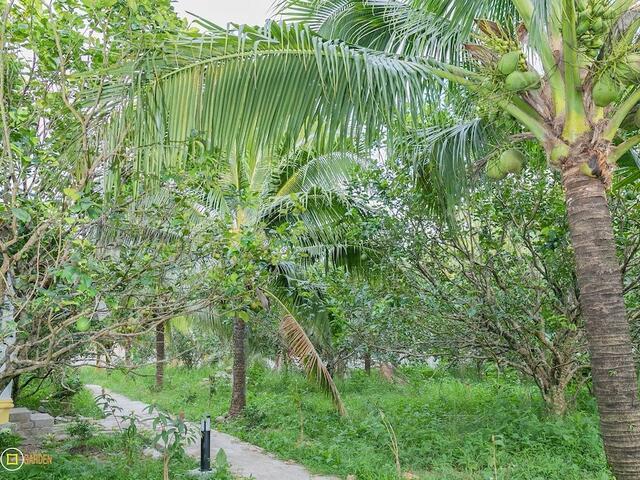 фотографии Phu Quoc Pomelo Garden изображение №8