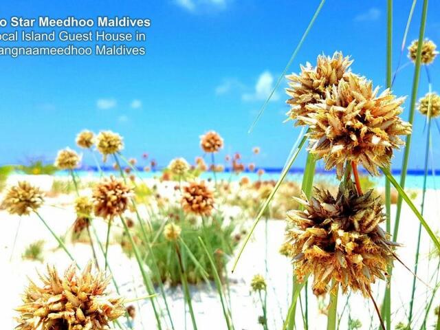 фото отеля Two Star Meedhoo Maldives изображение №5