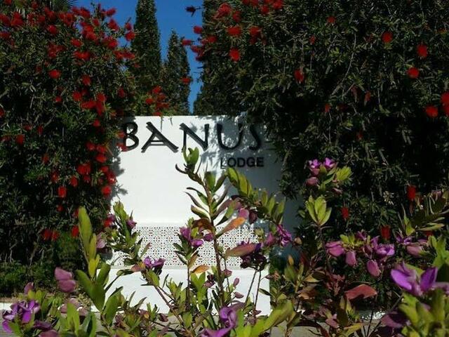 фото отеля Banus Lodge изображение №9