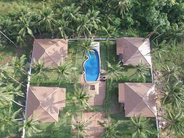 фотографии Blue Coconut Residence изображение №16