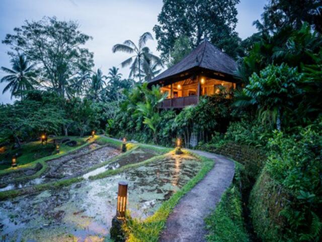 фото отеля Bali Eco Stay изображение №5