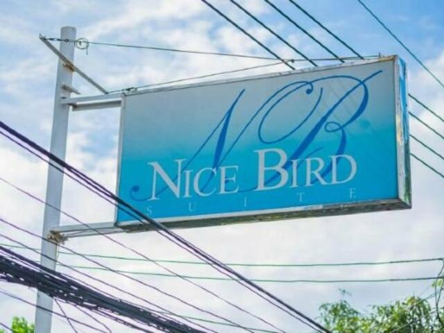 фото отеля Nice Bird Suite изображение №1