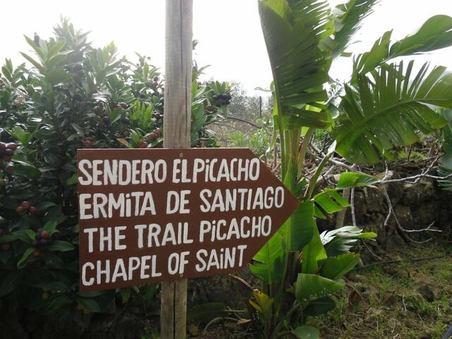 фото Finca El Picacho изображение №2