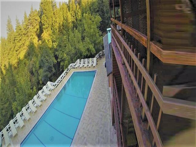 фото отеля Agva Orman Evleri (Forest Lodge) изображение №33