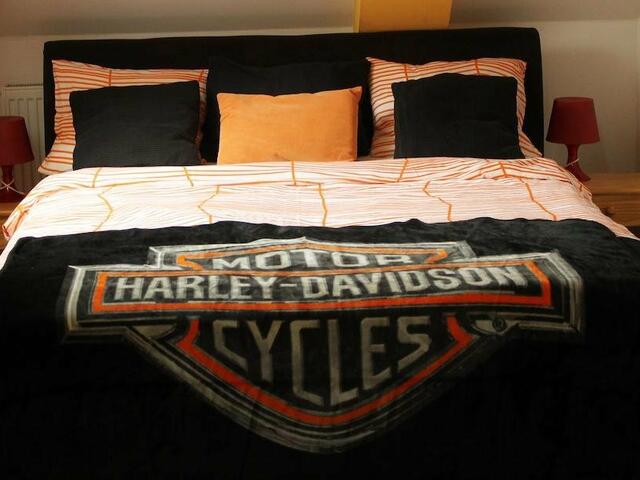 фото отеля Apartments Harley Style изображение №5
