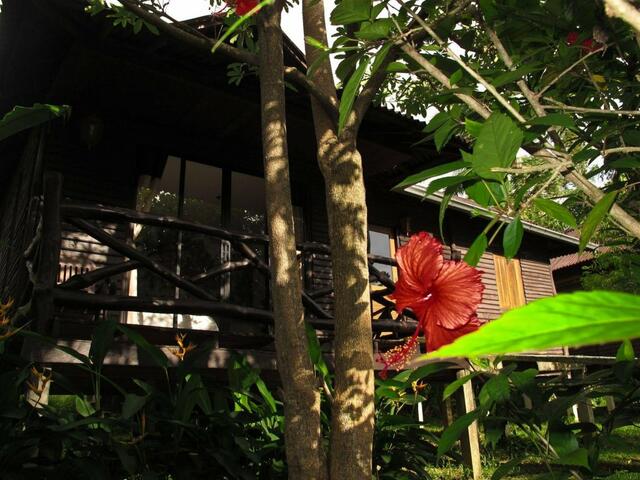 фотографии Mook Lanta Resort изображение №12
