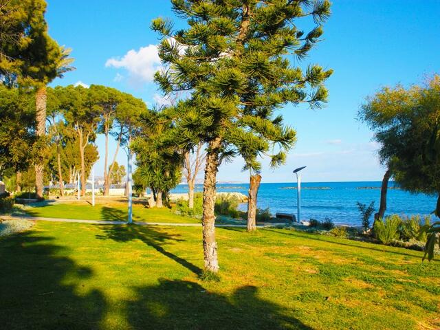фотографии отеля Апартаменты Sunny Point Cyprus изображение №7