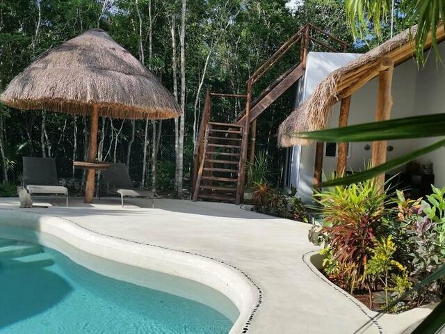 фотографии Pura Vida Cancun, Guesthouse. изображение №8