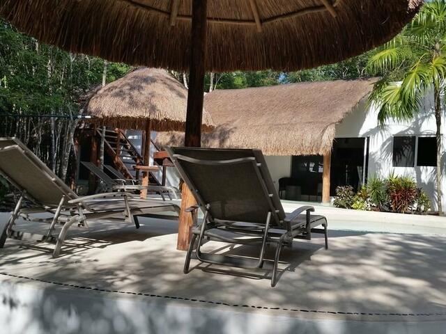 фото отеля Pura Vida Cancun, Guesthouse. изображение №9