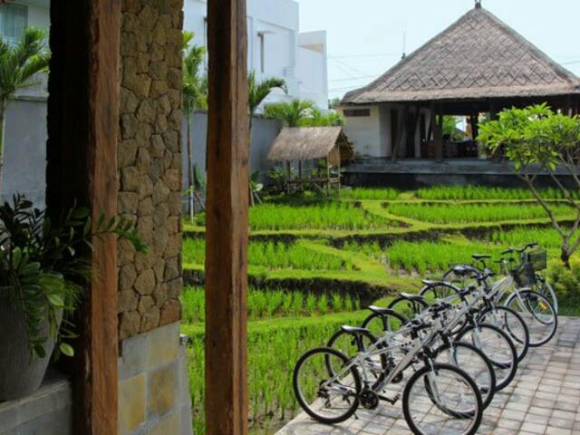 фото отеля The Kirana Bali изображение №5