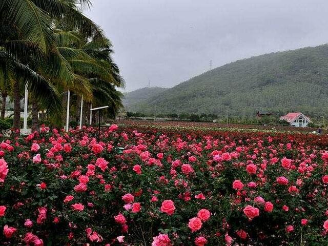 фото отеля Yalong Bay Sanya Farinn - Zai Tian Bian изображение №5