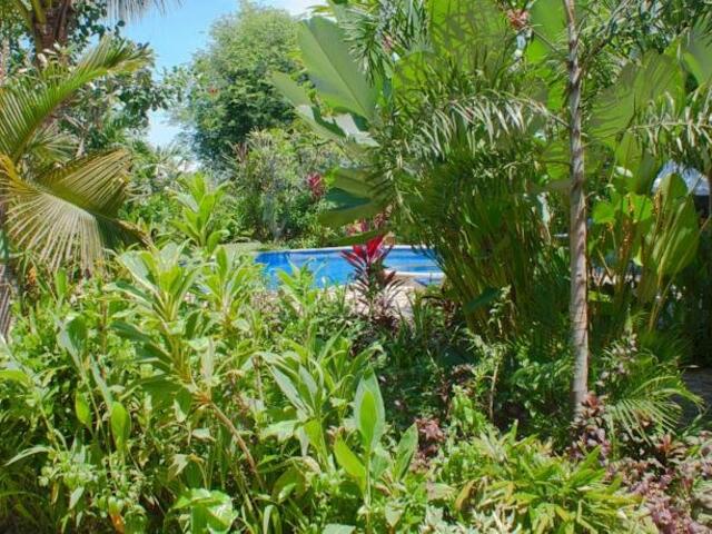 фото отеля Villa Padma Bali Lovina изображение №9
