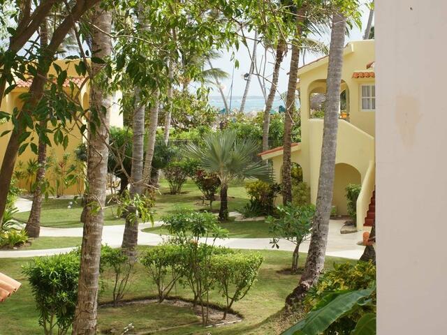 фото отеля Los Corales Beach Apartments изображение №5