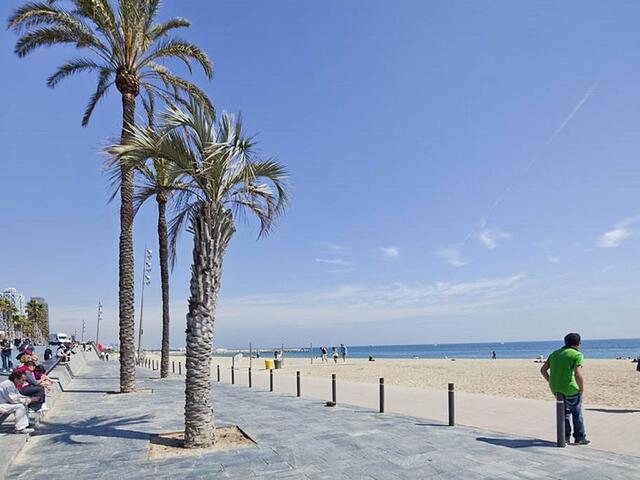 фотографии отеля Citytrip Barceloneta Beach изображение №3
