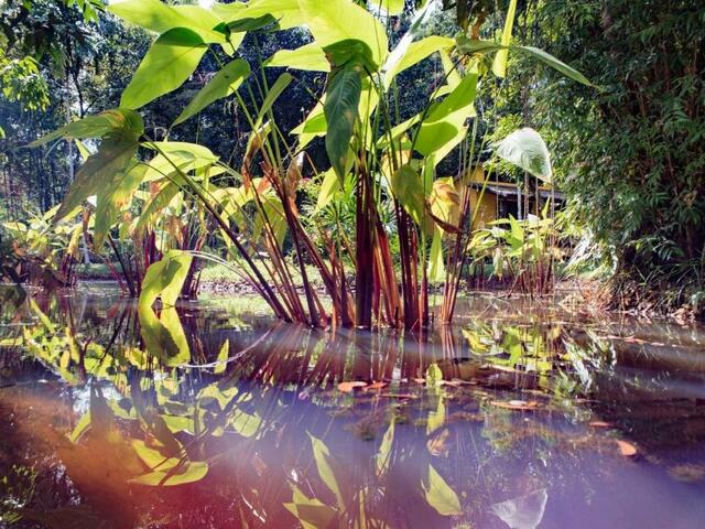 фото Garden Of Joy Resort изображение №14