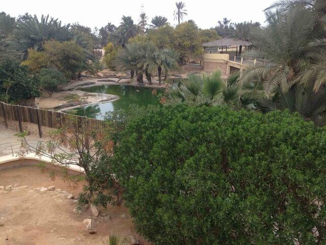 фотографии отеля Palm Djerba изображение №3