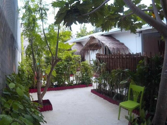 фотографии Ciritorno View Guest House at Maafushi изображение №8