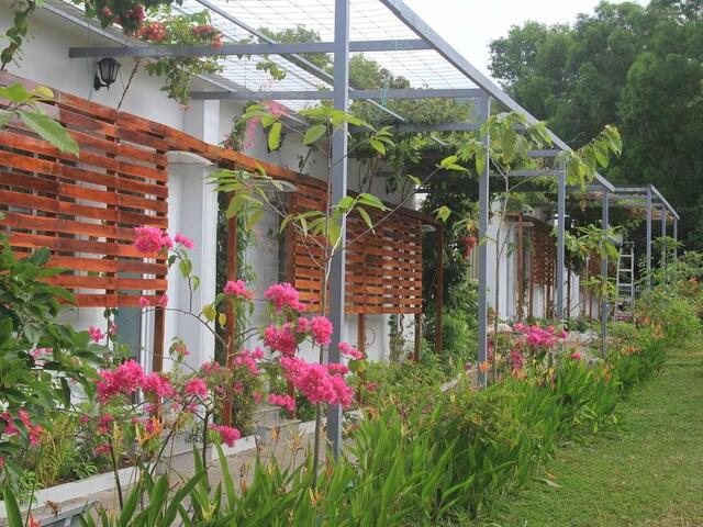 фотографии отеля New Day Phu Quoc Guesthouse изображение №11