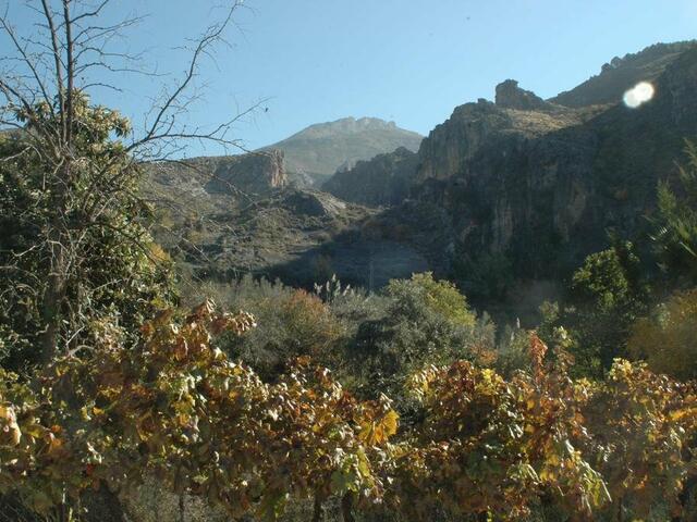 фото Casa Rural Los Cahorros Sierra Nevada изображение №2